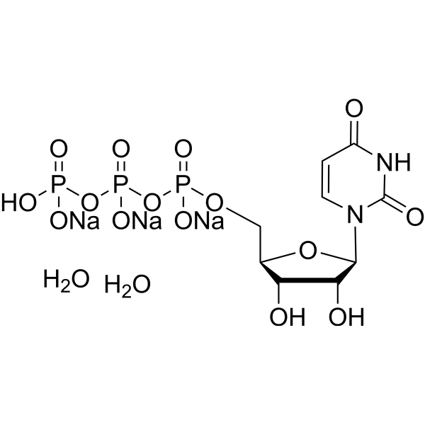 Uridine triphosphate trisodium dihydrate 116295-90-0